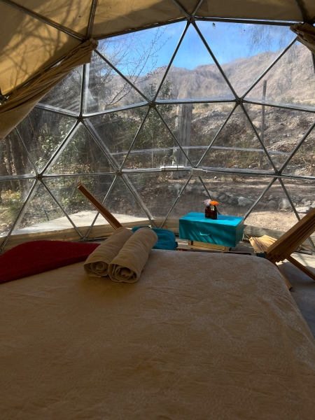 WhatsApp Image 2023-10-31 at 08.39.02.jpeg